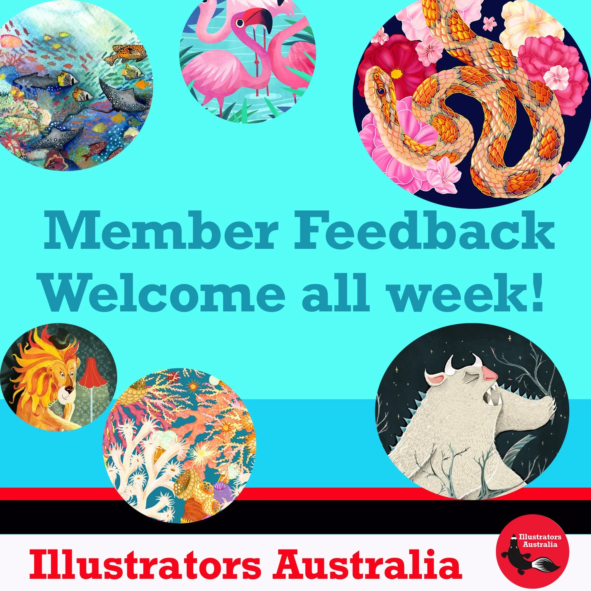 Thank you to all our members who have sent in feedback and responses to our new website design! People love the new look and appreciate all the hard work of our volunteers in building it. There are also some great suggestions, comments and constructi